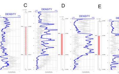 Formation Density Logging – Coal Blasthole Logging